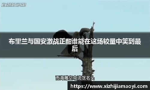 ballbet贝博艾弗森官方网站