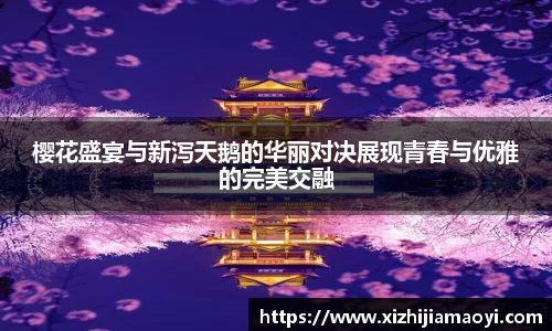 ballbet贝博艾弗森官方网站