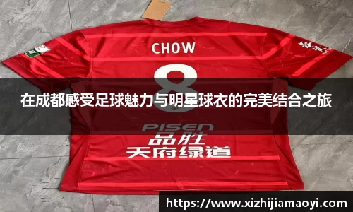 在成都感受足球魅力与明星球衣的完美结合之旅