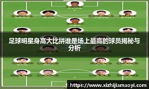 ballbet贝博艾弗森官方网站